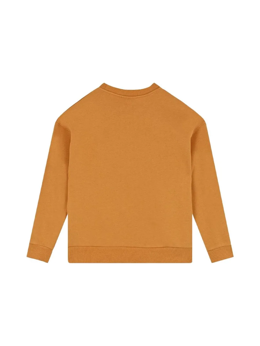 Sweat Jaune Garçon Timberland T60315/589 2