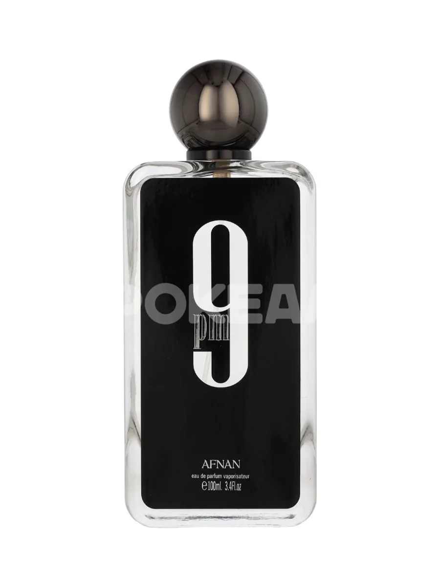 Afnan PM9 Edp Spray 100ml 2
