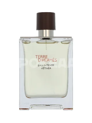 Hermes Terre D'Hermes Eau Intense Vetiver Edp Spray 100ml 2