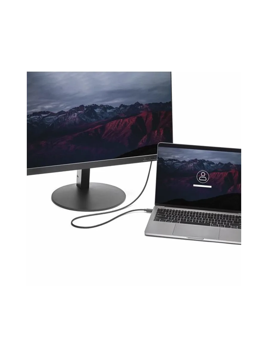 1m USB-C to DP Adapter Cable - 4K 60 Hz 5