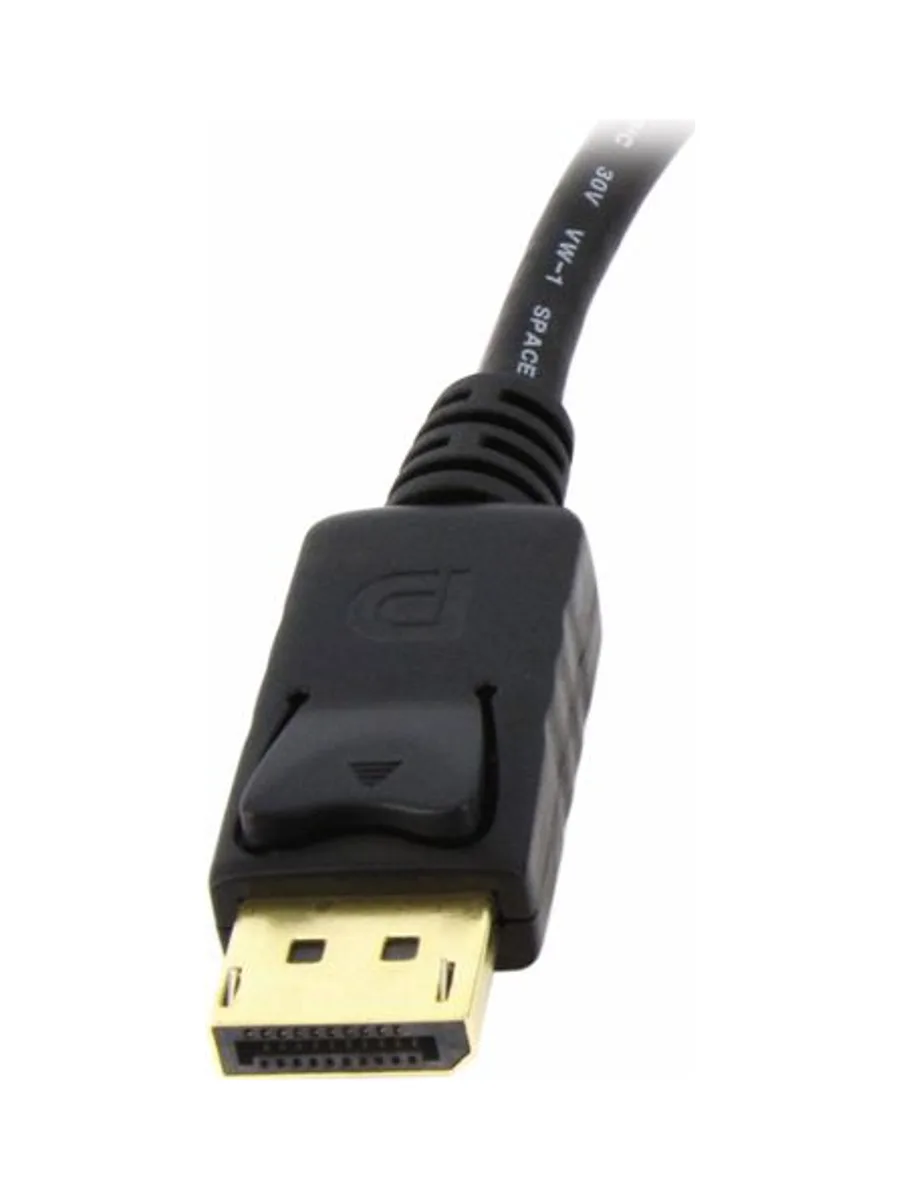 DisplayPort to DVI Adapter 3
