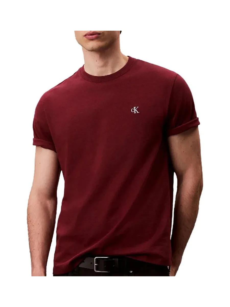T-Shirt Prune Homme Calvin Klein Jeans Easy LV04RC275G 2