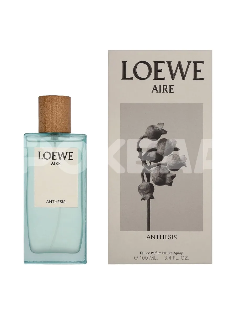 Loewe Aire Anthesis Edp Spray 100ml 1
