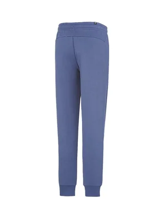 Jogging Bleu Homme Puma Logo Essentials 2