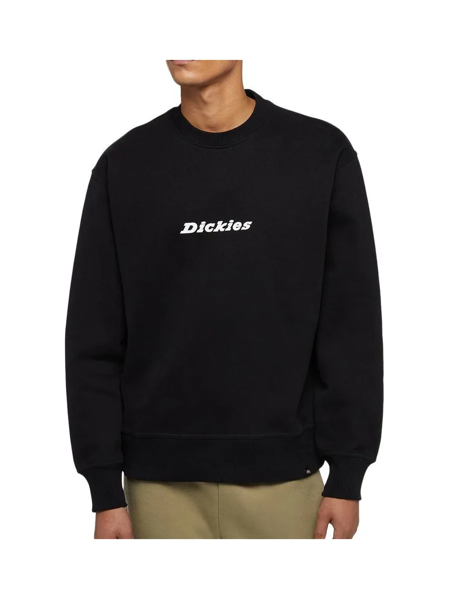 Sweat Noir Homme Dickies Enterprise DK0A4Z4K 2