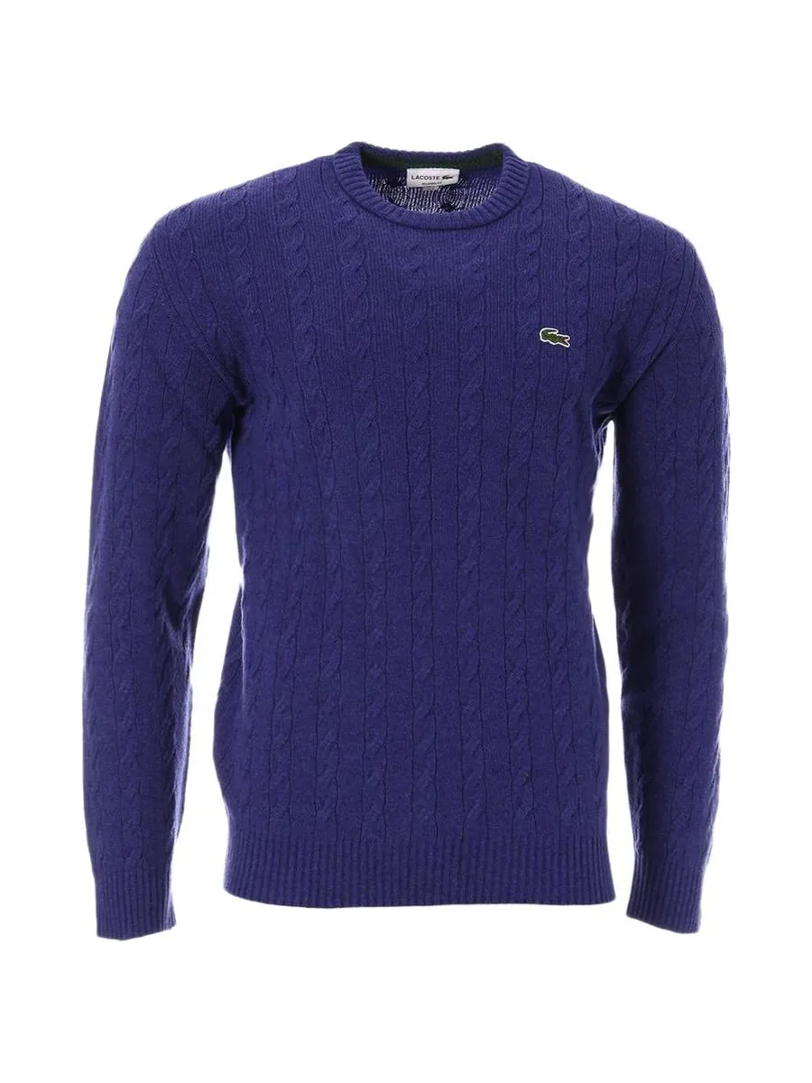 Pull Bleu Homme Lacoste Tricot AH1991 2