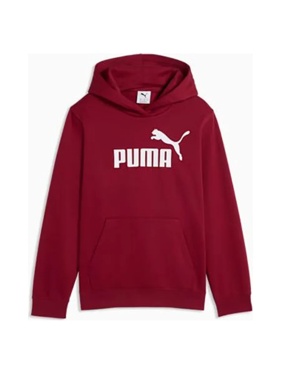 Sweat-shirt PUMA Essentials No. 1 Logo 4