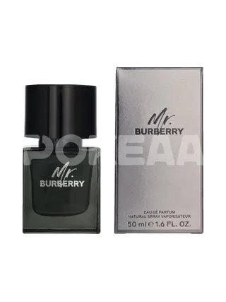 Burberry Mr. Burberry Edp Spray 50ml 1