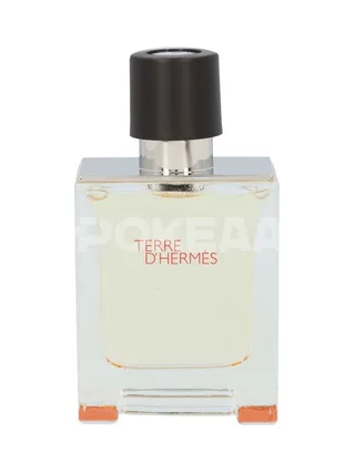 Hermes Terre D'Hermes Edt Spray 50ml 2