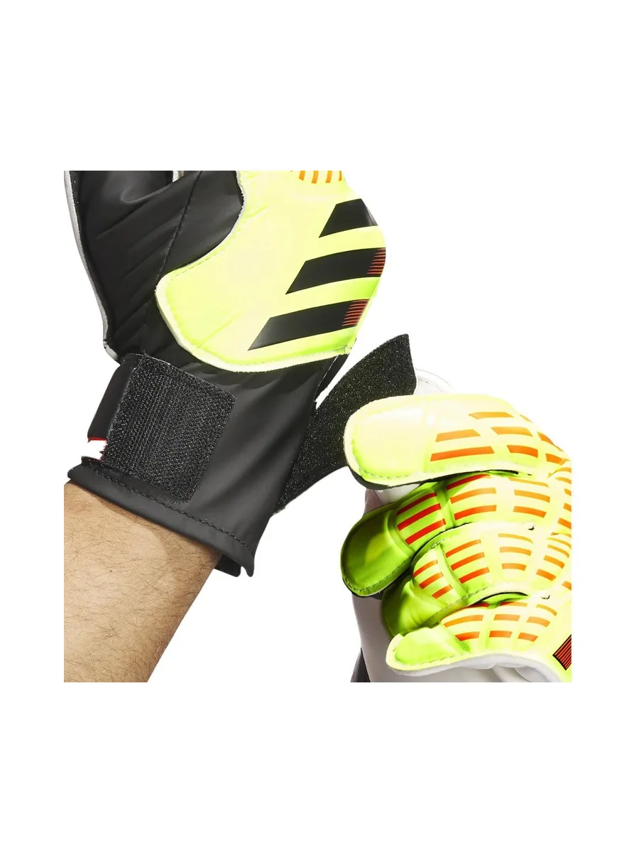 Gants de gardien de but d'entraînement Adidas Predator 3