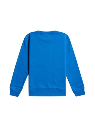 Sweat Bleu Garçon Billabong Stamp 2