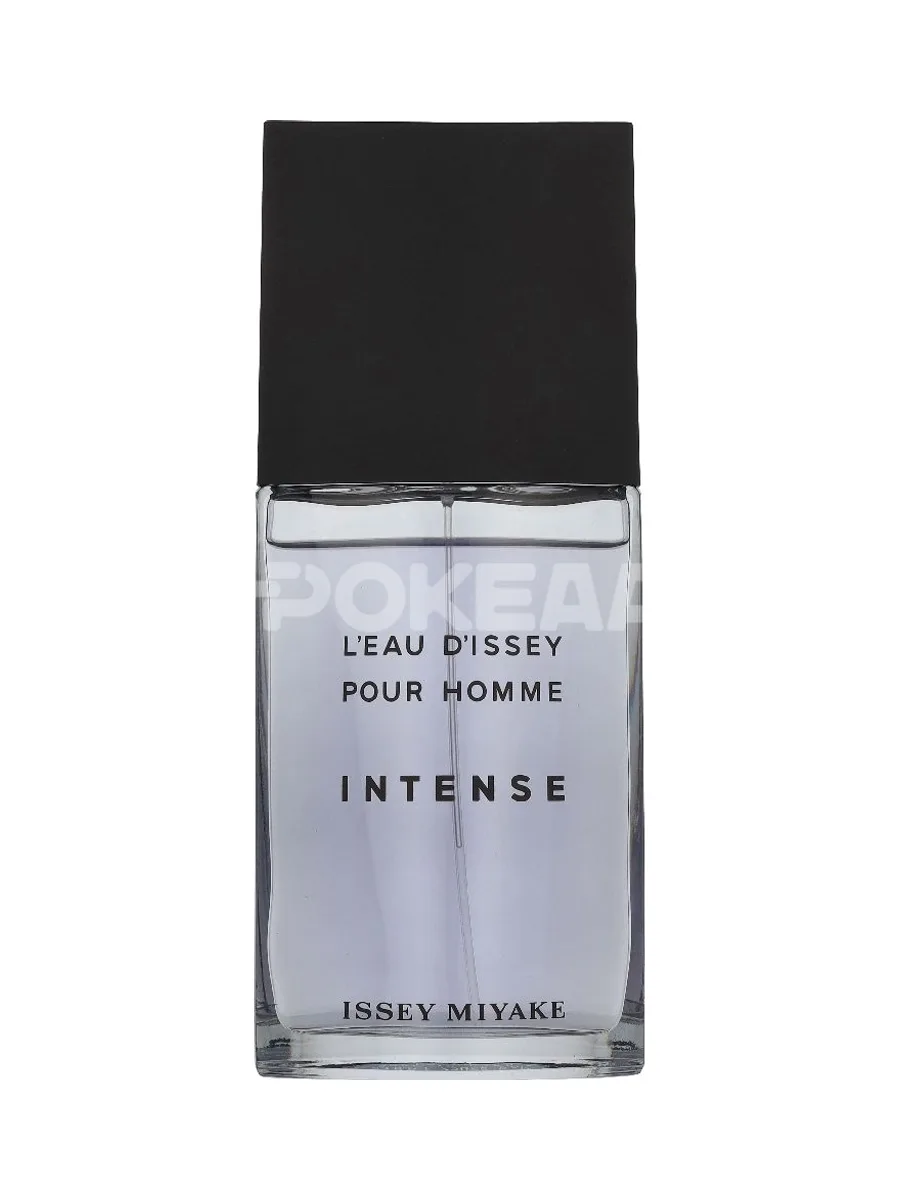 Issey Miyake L'Eau D'Issey Homme Intense Edt Spray 125ml 2