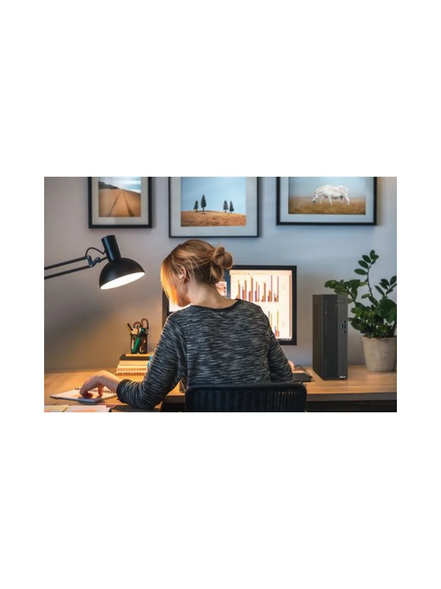 ASUS ExpertCenter P500 SFF P500SV-05210H009X 15