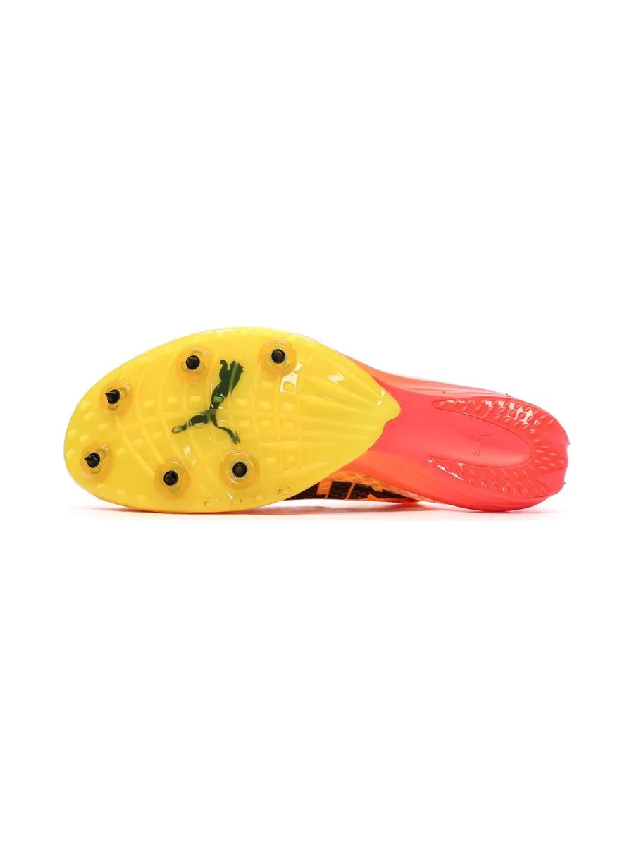 Chaussures d'athlétismes Orange Homme Puma Evospeed Distance Nitro Elite 8