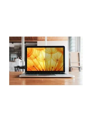 Filter 3M Bright Dell 13.4in/16:10 2