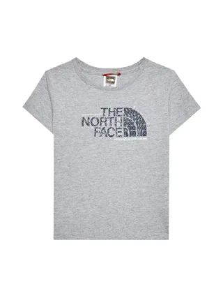 T-shirt Gris Garçon The North Face Graphic 1 1