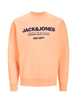 Sweat-shirt JACK & JONES 12249273 2