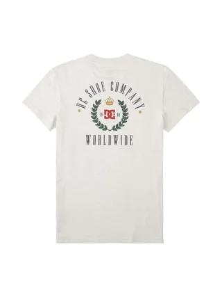 T-Shirt Gris Homme Dc shoes Hills 2