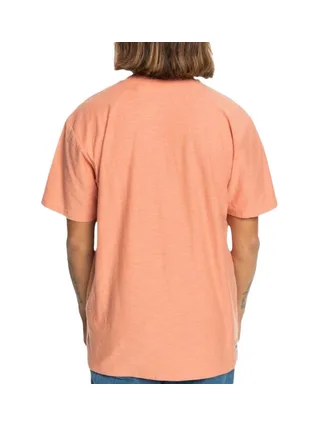 T-Shirt Corail Homme Quiksilver Slub roundneck 2