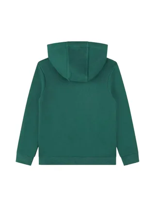 Sweat Vert/Bleu Garçon Timberland T25U56 2