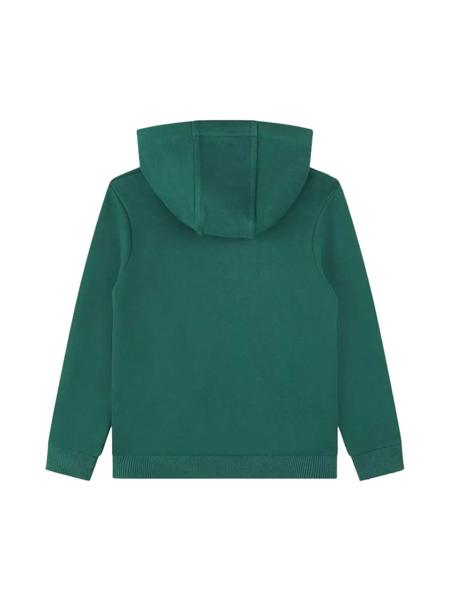 Sweat Vert/Bleu Garçon Timberland T25U56 3