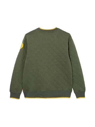 Sweat Kaki Garçon Levi's 8ED538 2