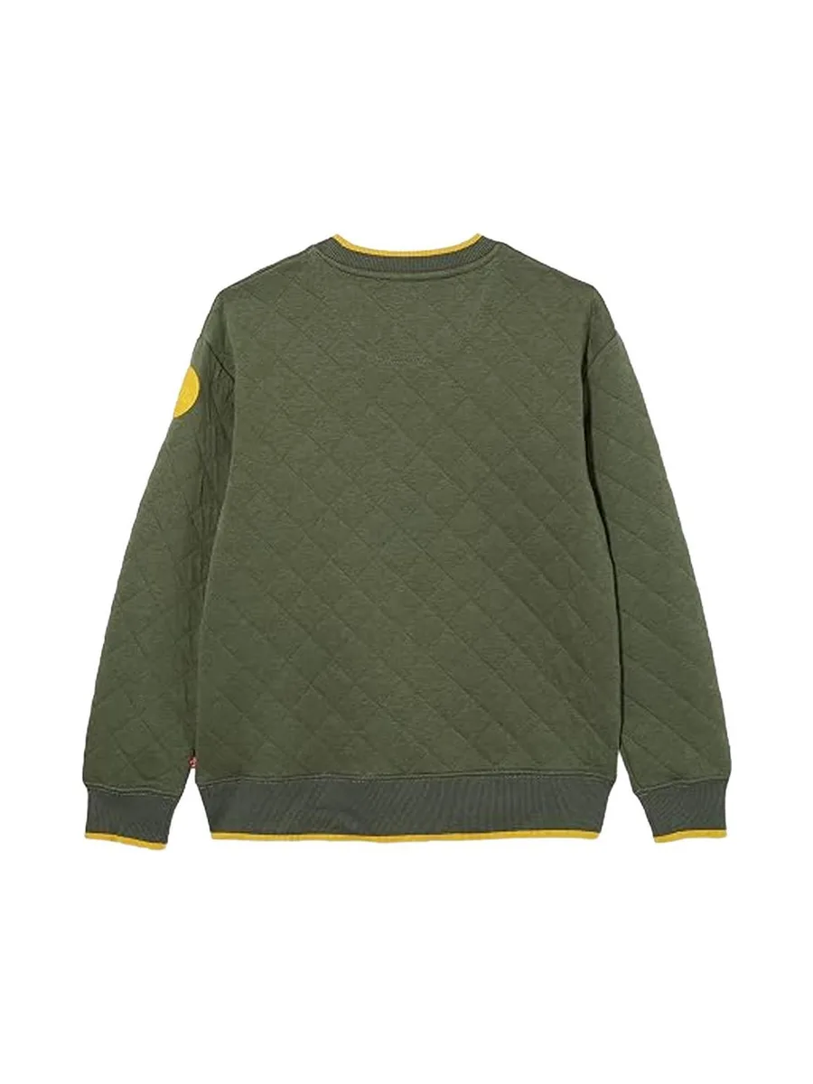 Sweat Kaki Garçon Levi's 8ED538 3