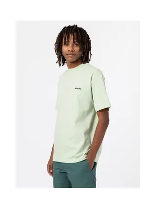 T-shirt DICKIES DK0A4X9O 3
