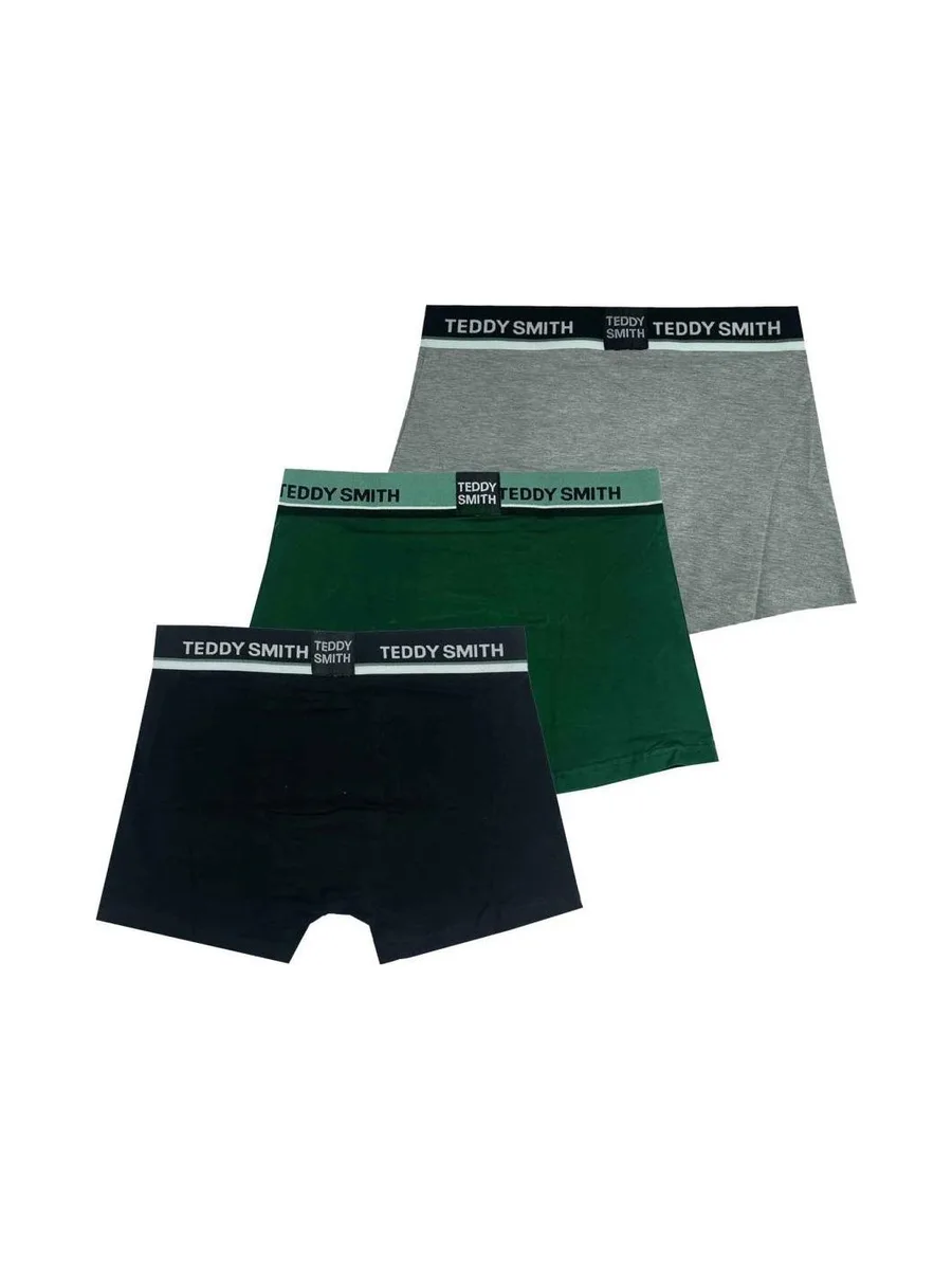 Lot de 3 Boxers Noir/Vert/Gris Homme Teddy Smith 1TS/52/9 2