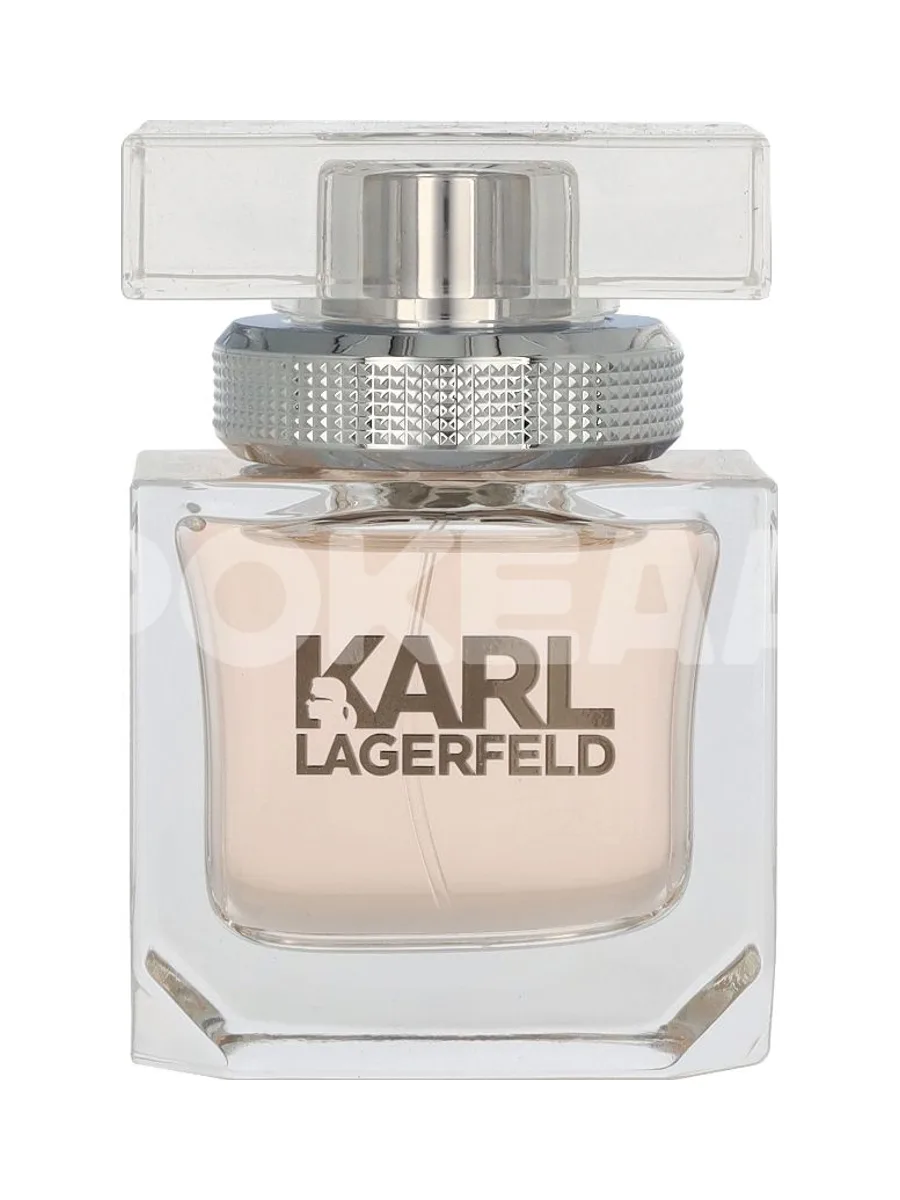 Karl Lagerfeld Pour Femme Edp Spray 45ml 2