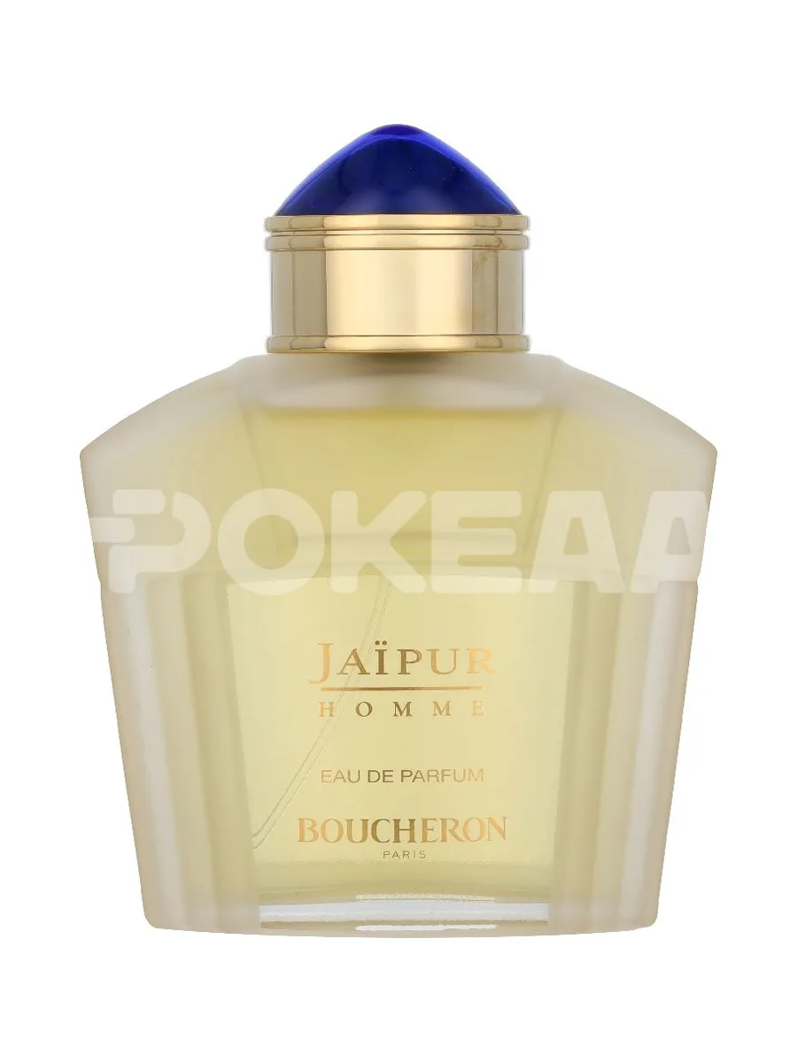 Boucheron Jaipur Homme Edp Spray 100ml 2