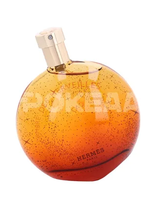 Hermes L'Ambre Des Merveilles Edp Spray 100ml 2