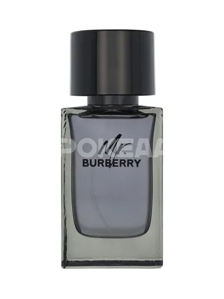 Burberry Mr. Burberry Edt Spray 100ml 2