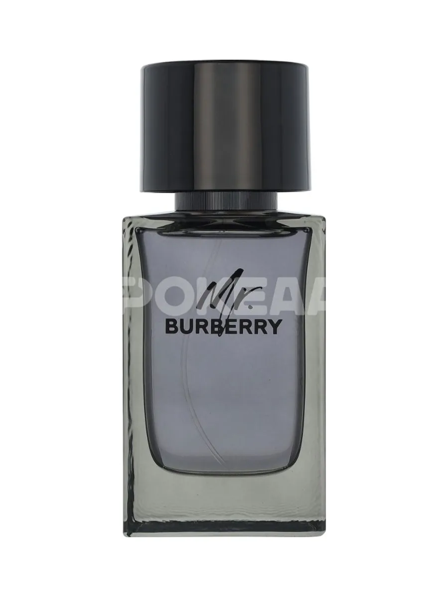 Burberry Mr. Burberry Edt Spray 100ml 2