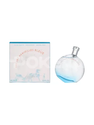 Hermes Eau Des Merveilles Bleue Edt Spray 100ml 1