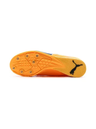 Chaussures d'athlétisme Orange Homme Puma Evospeed Triple 5