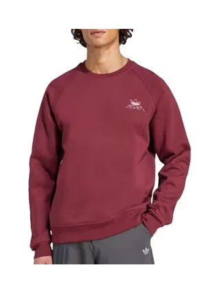 Sweat Rouge Homme Adidas Mountaingfx 1