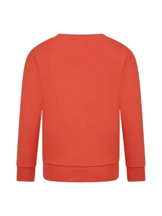Sweat Terracotta Garçon Timberland T60075 2