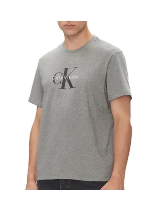 T-Shirt Gris Homme Calvin Klein Jeans Hero 1