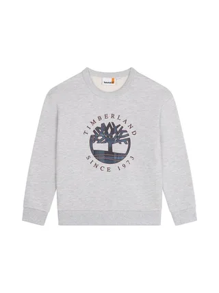 Sweat Gris Garçon Timberland T60319/A32-CD 1
