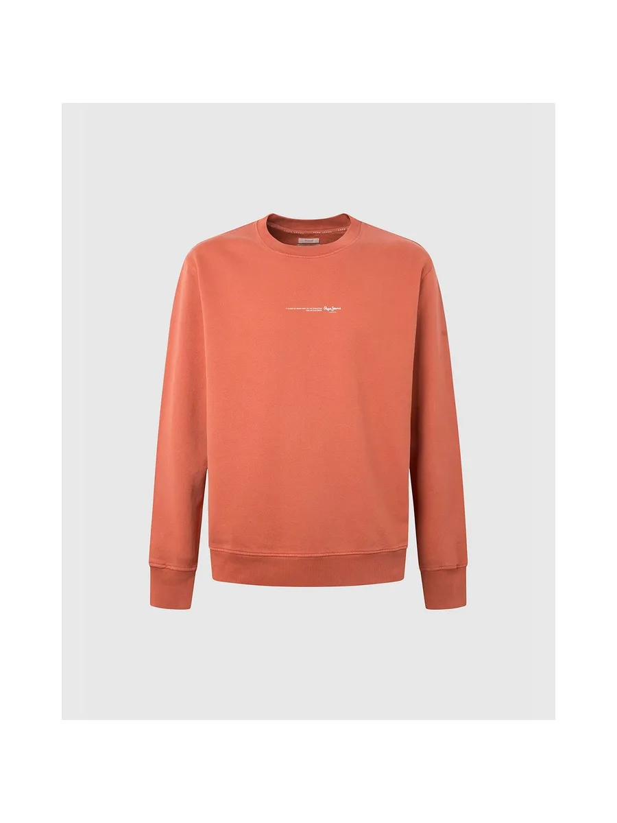PEPE JEANS David - Sweat-shirt 2