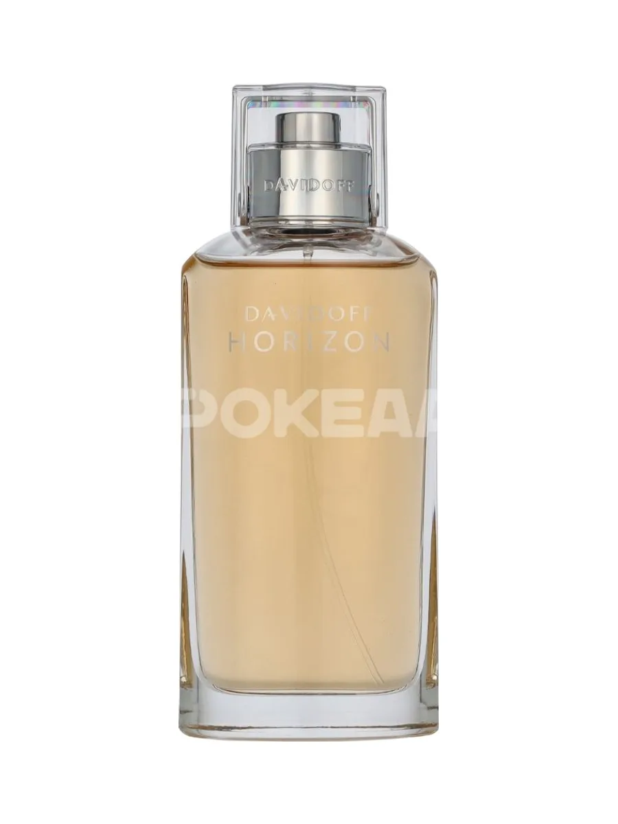 Davidoff Horizon Edt Spray 125ml 2