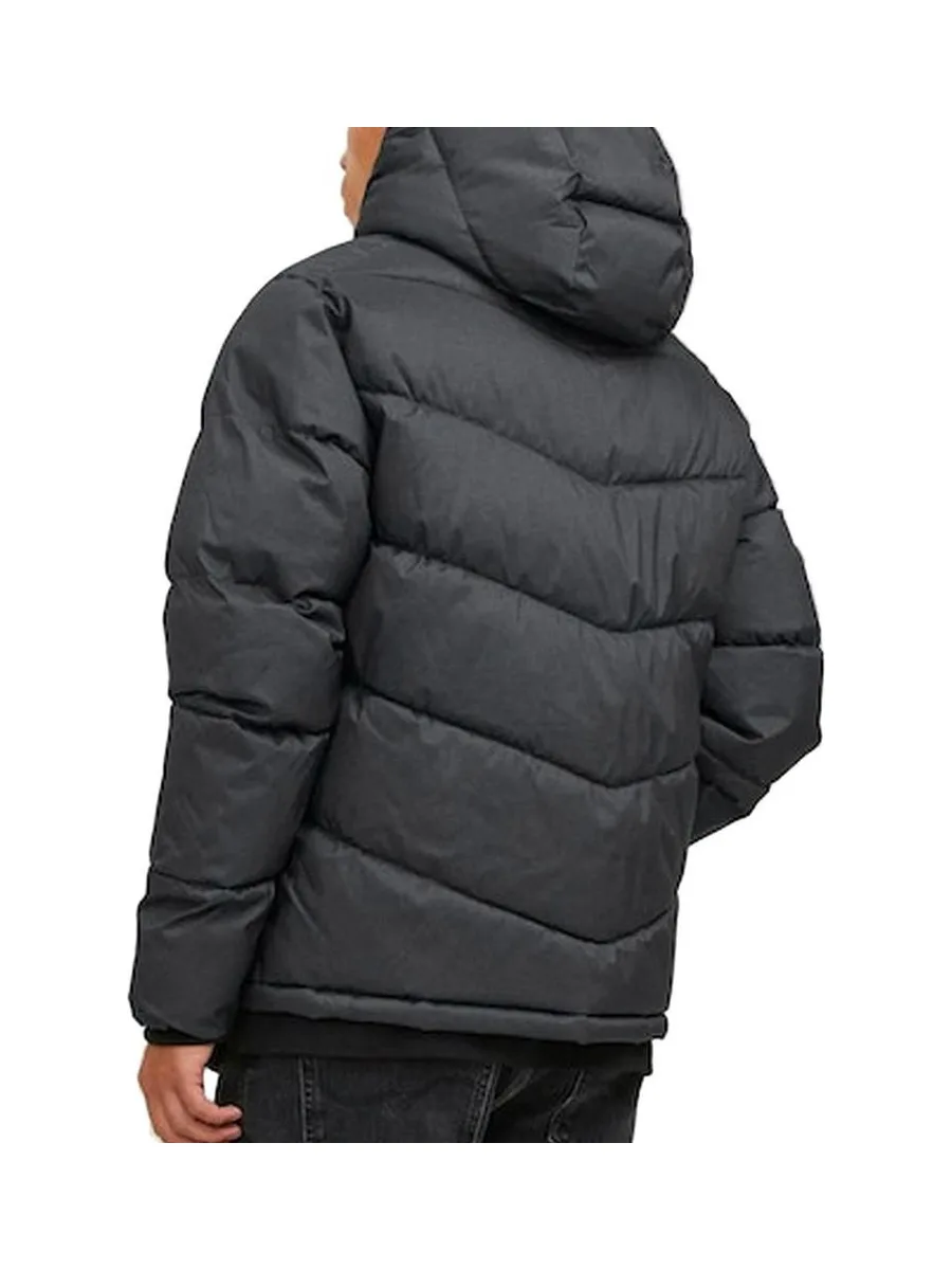 Doudounes Gris Homme Jack & JonesJorvesterbro Puffer 3