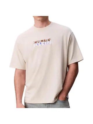 T-Shirt Beige Homme Calvin Klein Jeans LV04RD808G 1