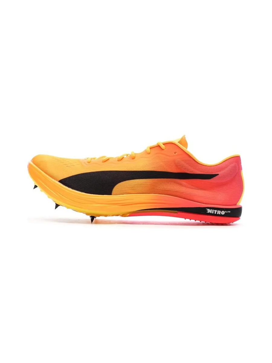 Chaussures d'athlétisme Jaune/Rose Homme Puma Evospeed Long Distance Nitro Elite 2 2
