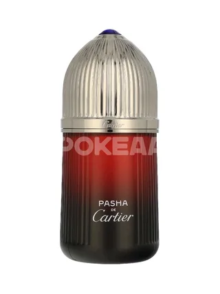 Cartier Pasha Edition Noire Sport Edt Spray 100ml 2