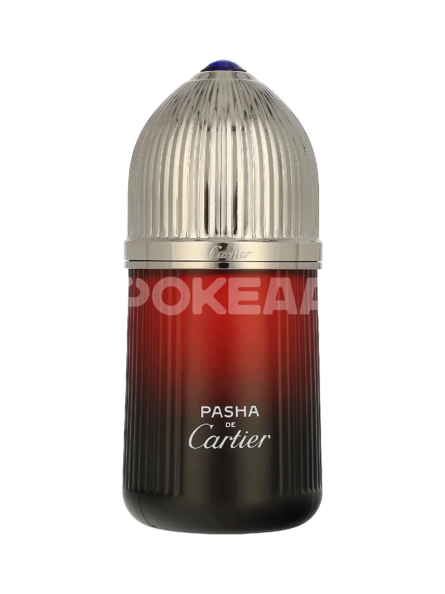 Cartier Pasha Edition Noire Sport Edt Spray 100ml 2