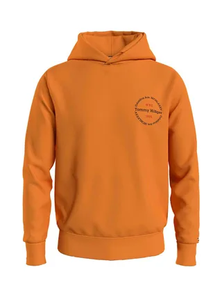 Sweat-shirt TOMMY HILFIGER MW0MW34381 2