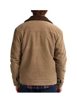 Veste Camel Homme Petrol Industries Padded 2