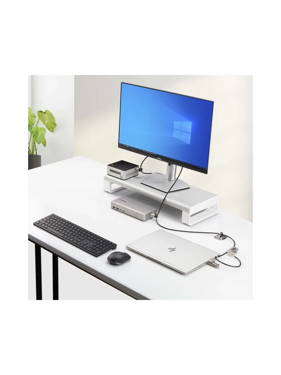 Computer & Peripheral Lock Kit 9.8ft 8